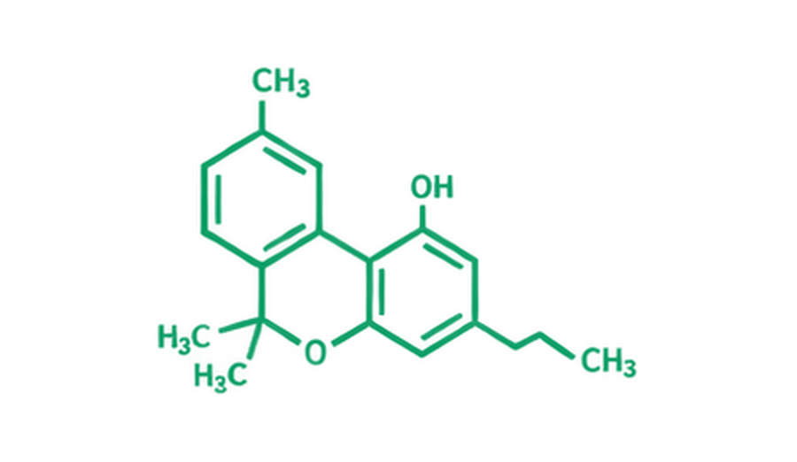 CBN