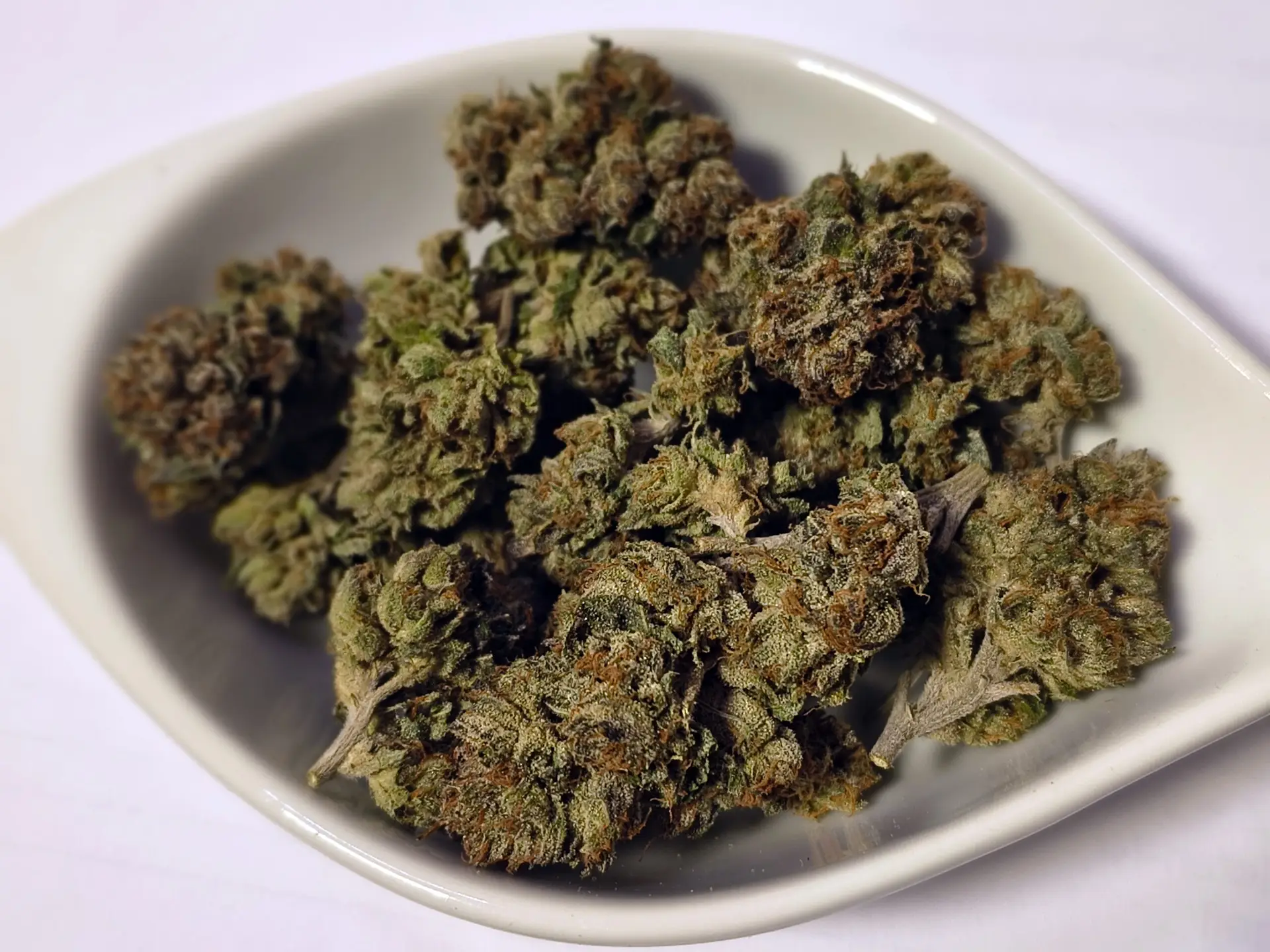 Lemon Cherry Gelato